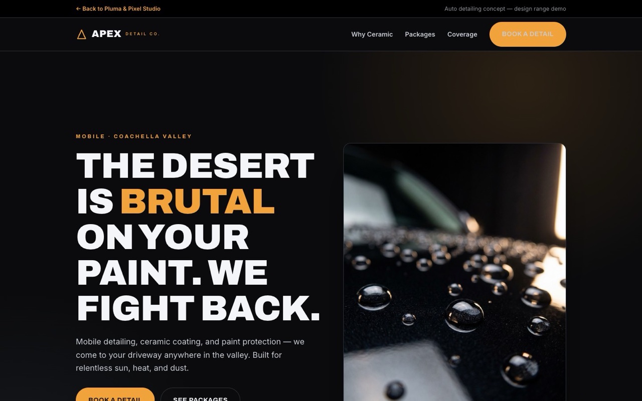 Apex Detail Co. auto-detailing website concept — full page